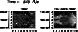 \begin{figure}
\par\includegraphics[width=6.8cm,clip]{3115fB2.ps}
\end{figure}