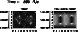 \begin{figure}
\par\includegraphics[width=6.8cm,clip]{3115fB3.ps}
\end{figure}