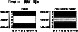 \begin{figure}
\par\includegraphics[width=6.8cm,clip]{3115fB4.ps}
\end{figure}