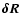 $\vec{\delta R}$