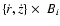 $\{\dot{r}, \dot{z}\}
\times~B_i$