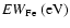 $ {\it EW}_{\rm Fe}~{\rm (eV)}$