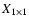 $X_{1 \times 1}$