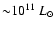 ${\sim}10^{11}~L_\odot$