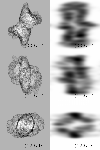 \begin{figure}
\par\includegraphics[width=8.8cm,clip]{1971fig8.eps}
\end{figure}