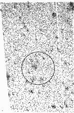 \begin{figure}
\par\includegraphics[width=20cm,angle=90,clip]{bedin_f2.eps}
\end{figure}