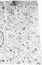 \begin{figure}
\par\includegraphics[width=20cm,angle=90,clip]{bedin_f3.eps}
\end{figure}
