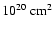 $10^{20}~{\rm cm^2}$