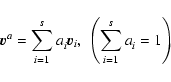 \begin{displaymath}{\vec v}_{}^a = \sum_{i=1}^s a_i^{}{\vec v}_i, \
\left( \sum_{i=1}^s a_i^{} = 1 \right)
\end{displaymath}