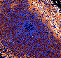 \begin{figure}
\par\includegraphics[width=7.5cm,angle=0]{2223f010.eps}
\end{figure}