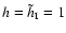 $h = \tilde{h}_{\rm I} = 1$