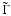 $\tilde{\Gamma}$