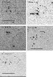\begin{figure}\par\includegraphics[width=15cm,clip]{3616fig2b.ps}\end{figure}