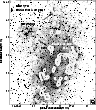 \begin{figure}
\par\includegraphics[width=8.4cm,clip]{Hj041_f1.eps}
\end{figure}