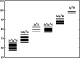 \begin{figure}
\par\includegraphics[width=7cm,clip]{3631fig1.eps}\end{figure}
