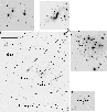 \begin{figure}
\par\includegraphics[angle=0,width=85mm,clip]{3952fi11.eps} \end{figure}