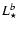 $L_{\star}^{b}$