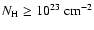 $N_{\rm H} \geq 10^{23}~{\rm cm^{-2}}$