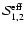 ${\cal S}_{1,2}^{\rm eff}$