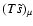 $(T\tilde{s})_\mu$