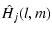 $\displaystyle \hat{H}_{j}(l,m)$
