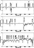 \begin{figure}
\par\includegraphics[width=10.6cm,clip]{3951fig5.ps}\end{figure}