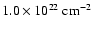 $1.0\times 10^{22}~\rm cm^{-2}$