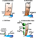 \begin{figure}
\par\includegraphics[width=11cm,clip]{2689fig2.ps}\end{figure}