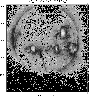 \begin{figure}
\par\includegraphics[width=8cm,clip]{2857fig4.eps}
\end{figure}