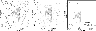 \begin{figure}
\par\mbox{\includegraphics[height=5.5cm,width=5.45cm,clip]{2440f0...
...s} \includegraphics[height=5.5cm,width=5.55cm,clip]{2440f04c.eps} }
\end{figure}