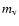 $m_{\rm v}$