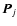 ${\vec P}_{j}$