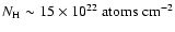 $N_{{\rm H}}\sim 15\times 10^{22}~{\rm atoms}~\textrm{cm}^{-2}$