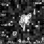 \begin{figure}
\par\includegraphics[width=5.5cm,
bb=40 130 570 660, clip]{4178fig5.ps}
\end{figure}