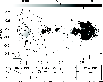 \begin{figure}
\par {\hbox{
\includegraphics[height=9cm,angle=-90]{4338fig5.eps} }}
\end{figure}