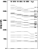 \begin{figure}
\par\includegraphics[width=6.5cm,clip]{3852fig4.eps}\end{figure}