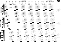 \begin{figure}
\par\includegraphics[angle=90,width=17.6cm,clip]{evo.eps} \end{figure}