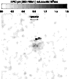 \begin{figure}
\par\includegraphics[width=8.7cm,clip]{epic.eps} \end{figure}