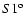 $S1^{{\rm o}}$