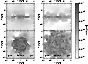 \begin{figure}
\par\includegraphics[angle=90,width=7.65cm,clip]{2190fig5.ps} \end{figure}