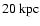 $20~\ensuremath{{\rm kpc}} $