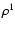 $\rho^1$