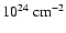 $10^{24}~{\rm cm^{-2}}$