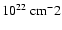 $10^{22}~{\rm cm^-2}$