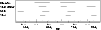 \begin{figure}
\par\includegraphics[width=8.8cm,clip]{4418fig01.eps}
\end{figure}