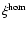$\xi ^{\rm hom}$