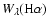 $W_{\lambda }({\rm H}\alpha )$
