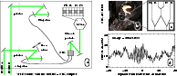 \begin{figure}
\par\includegraphics[width=17cm]{4258fig1.eps}
\end{figure}