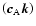 $\left( \vec c_{{\rm A}} \vec k \right)$