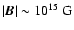 $\vert\vec B\vert \sim 10^{15}~{\rm G}$